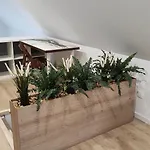 Morze Wyspa Сasa de vacaciones