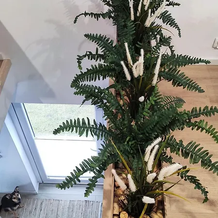 Morze Wyspa Сasa de vacaciones Gdansk