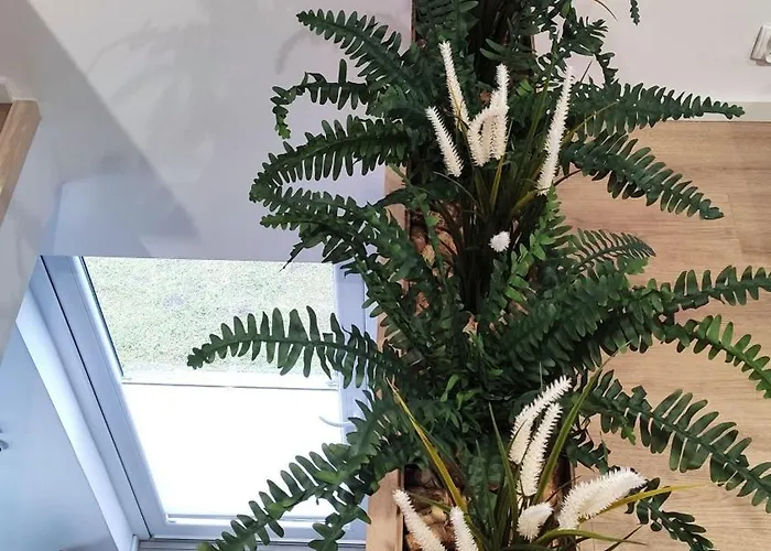 Morze Wyspa Σπίτι διακοπών Γκντανσκ